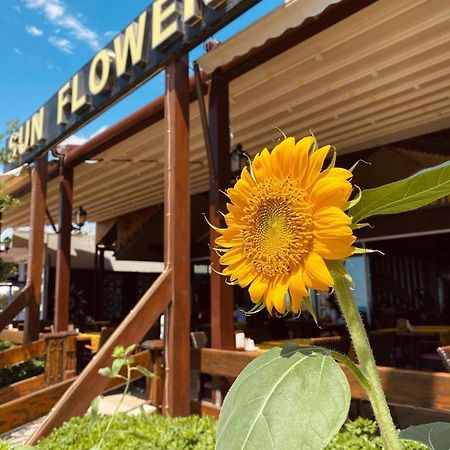 Sun Flower Apart Hotel Side Zewnętrze zdjęcie