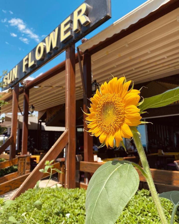 Sun Flower Apart Hotel Side Zewnętrze zdjęcie